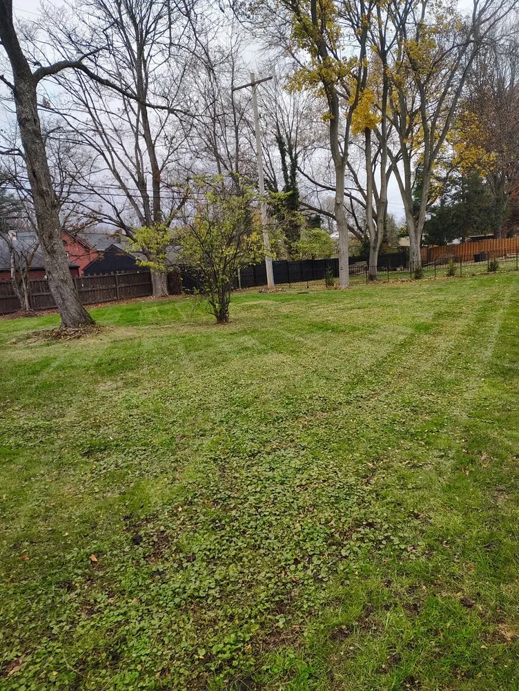 Local yard maintenance in Youngstown, OH by The Cutter Family