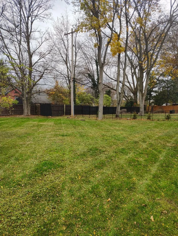 Professional lawn mowing service in Youngstown, OH - The Cutter Family