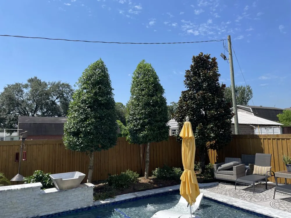 Affordable yard maintenance in Kenner, LA - The Cutting Assassin