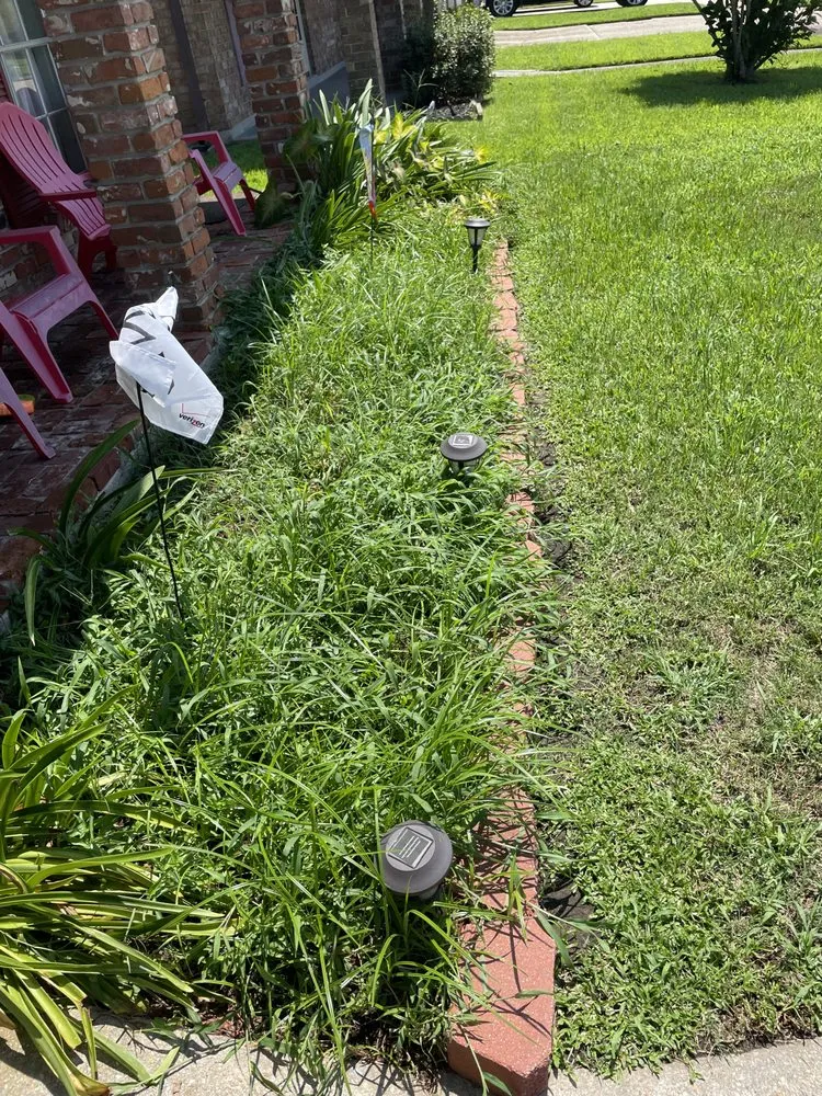 Trusted yard maintenance in Kenner, LA - The Cutting Assassin