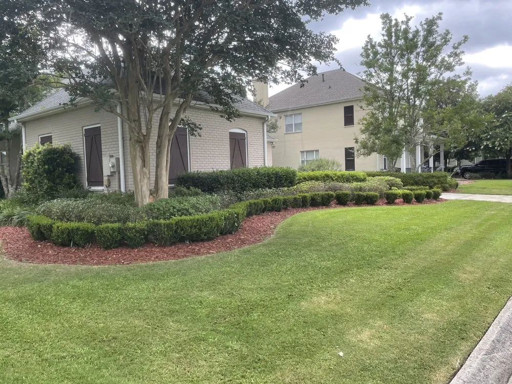 Expert landscaping services near you in Kenner, LA by The Cutting Assassin