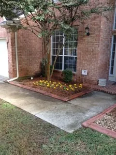 Custom yard cleanup service in Bells, TX - The Cutting Edge