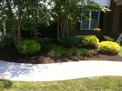 Custom landscape design for beautiful yards across Knoxville, TN - The Cutting Edge Lawn & Landscaping