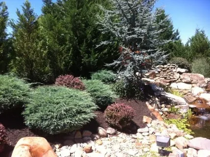 Reliable lawn care service experts serving Knoxville, TN - The Cutting Edge Lawn & Landscaping