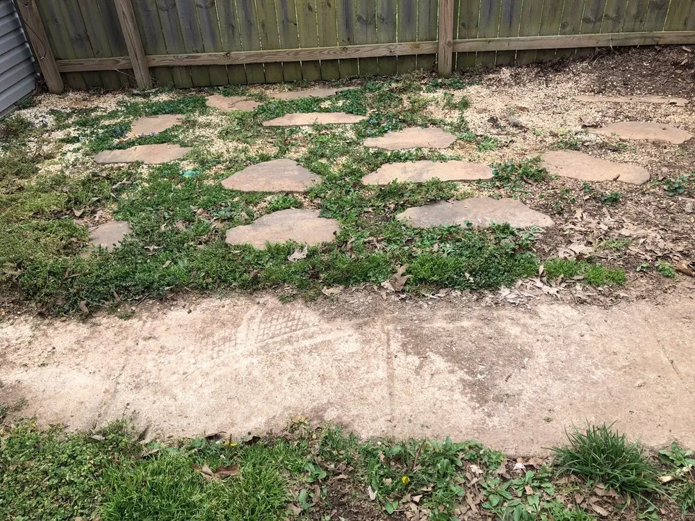 Expert yard maintenance for year-round maintenance across Knoxville, TN - The Cutting Edge Lawn & Landscaping