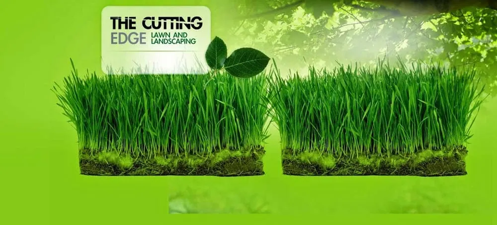 Local landscape design in Knoxville, TN by The Cutting Edge Lawn & Landscaping