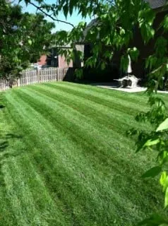 Affordable lawn care service for residential properties in Knoxville, TN by The Cutting Edge Lawn & Landscaping