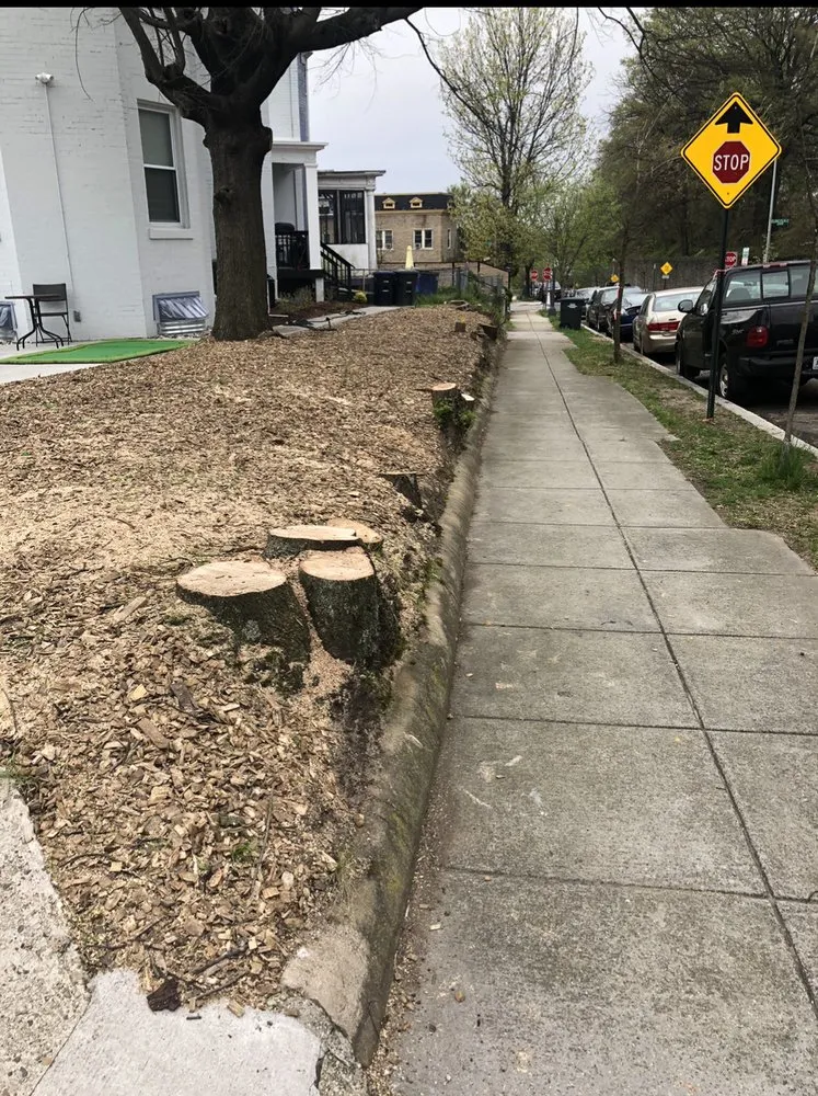 Expert lawn mowing service in Aldie, VA by The Cutting Edge Lawn and Tree Service