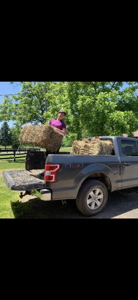 Custom yard maintenance experts serving Aldie, VA - The Cutting Edge Lawn and Tree Service