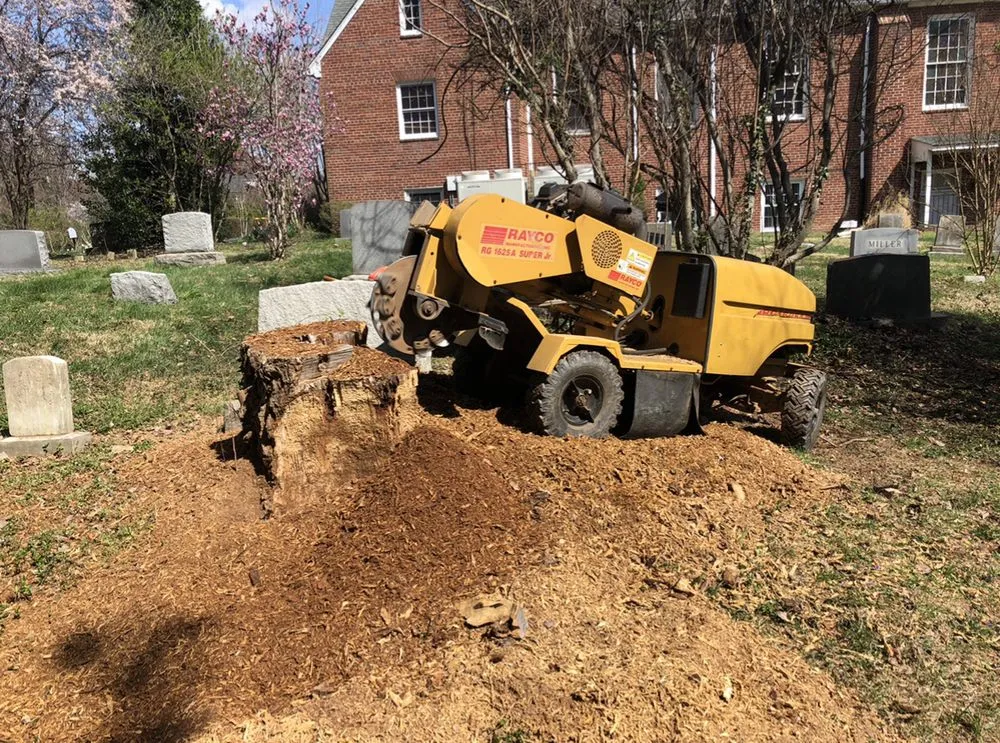 Reliable residential landscaping with custom design in Aldie, VA by The Cutting Edge Lawn and Tree Service