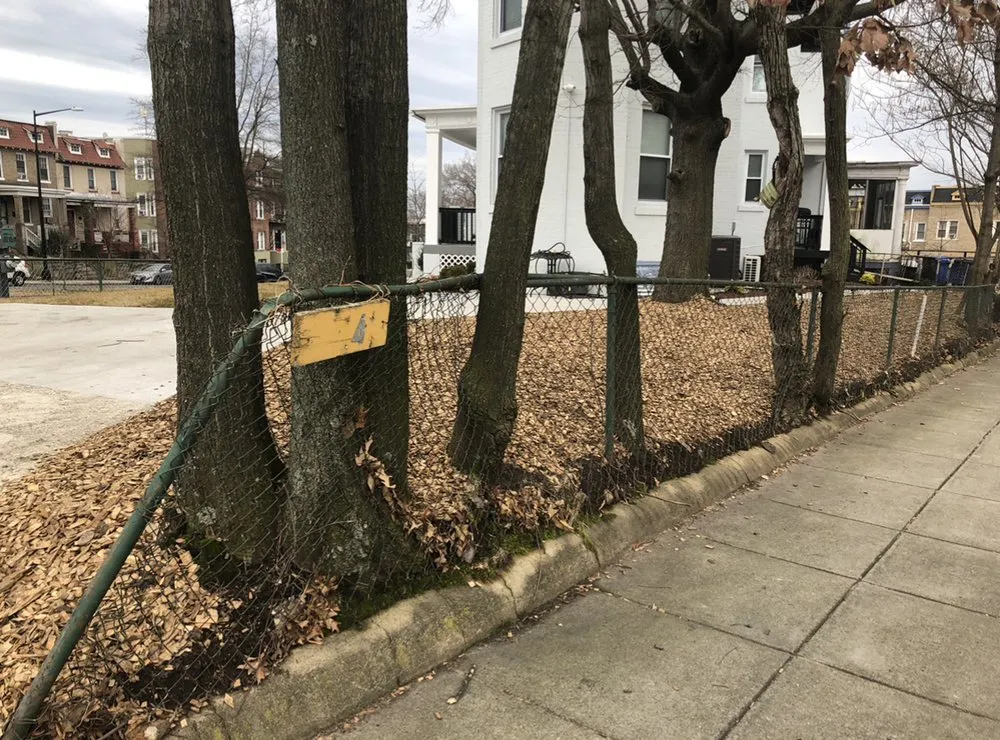 Reliable yard maintenance for outdoor upgrades across Aldie, VA - The Cutting Edge Lawn and Tree Service