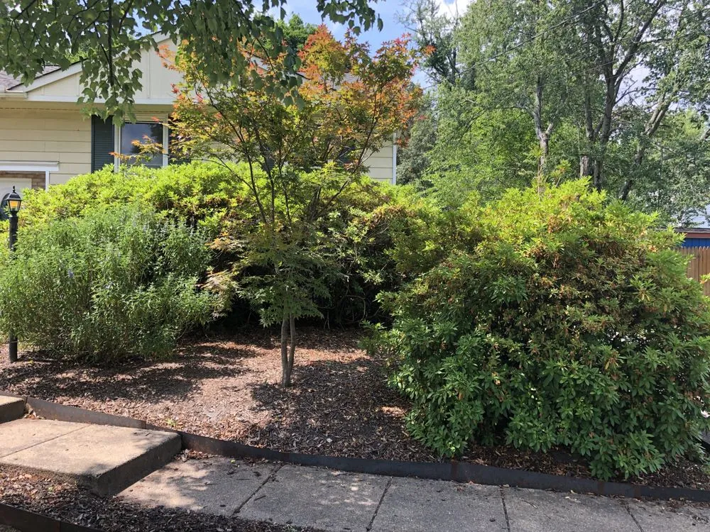 Professional lawn mowing service in Aldie, VA - The Cutting Edge Lawn and Tree Service