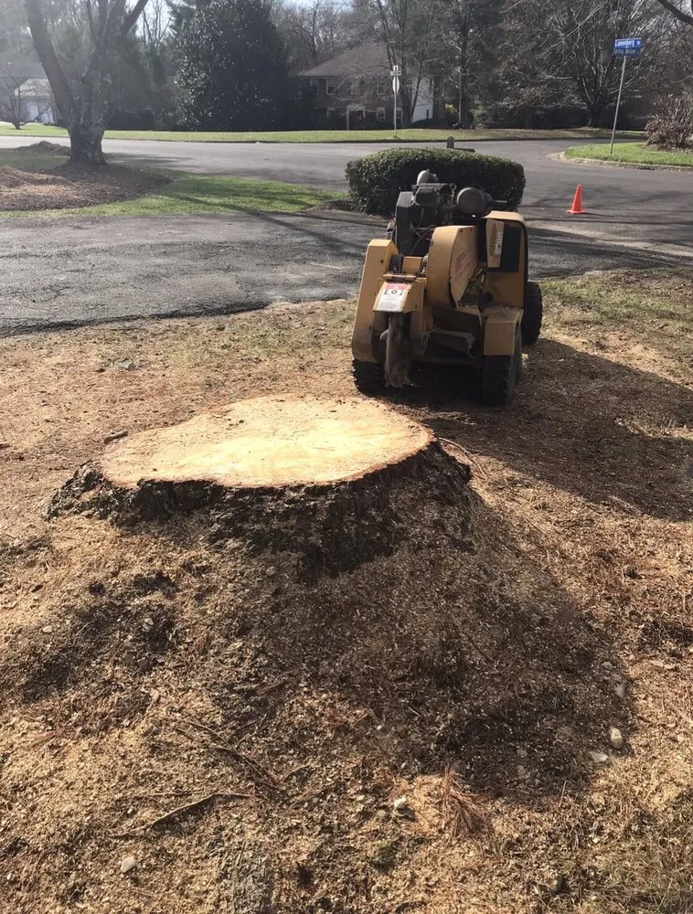 Trusted lawn mowing service in Aldie, VA - The Cutting Edge Lawn and Tree Service