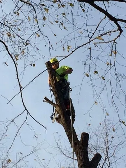 Reliable lawn mowing service for homes across Independence, MO - The Cutting Edge Lawn