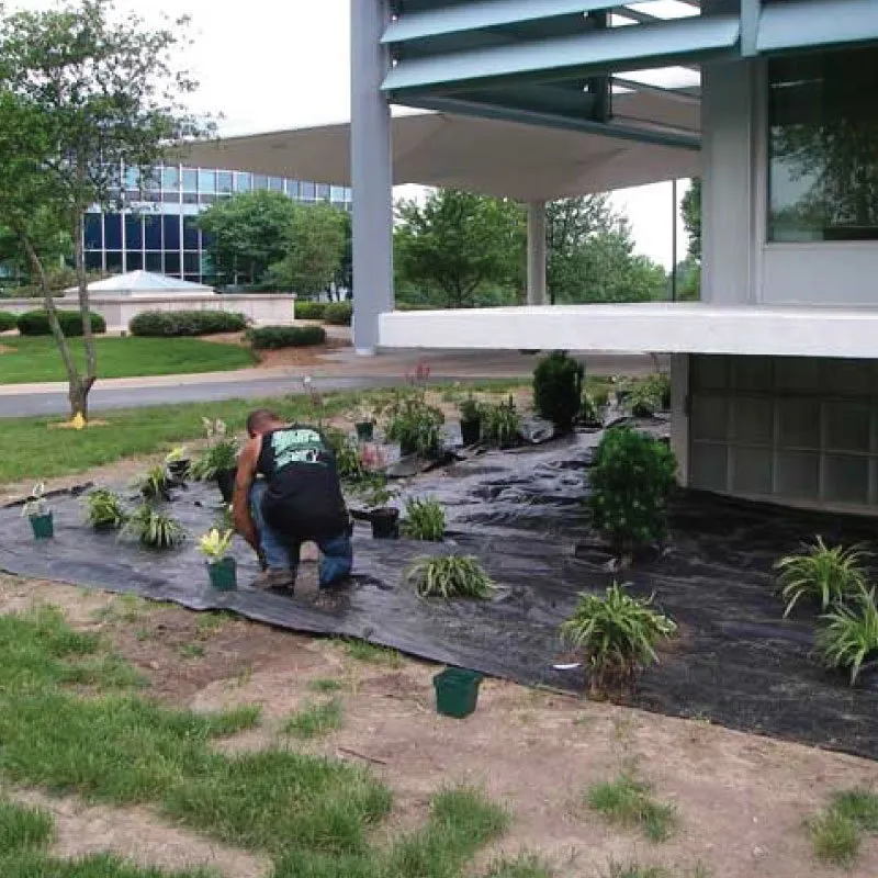 Professional outdoor landscaping experts serving Independence, MO - The Cutting Edge Lawn