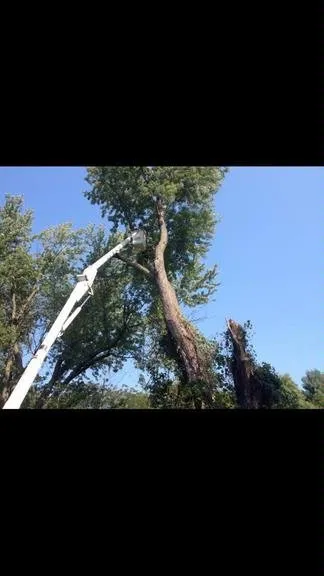 Local yard cleanup service for beautiful yards across Independence, MO - The Cutting Edge Lawn