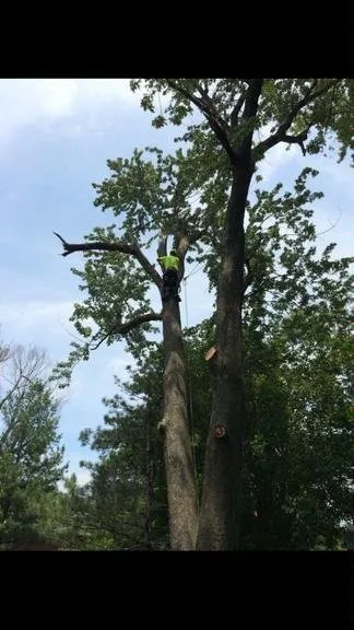 Custom outdoor landscaping with custom design across Independence, MO - The Cutting Edge Lawn