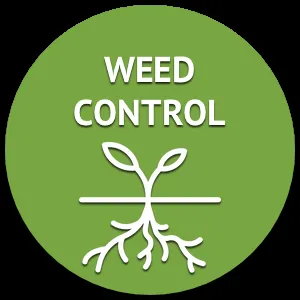 Trusted landscaping services for homes across Fair Grove, MO - The Cutting Edge Lawn Service