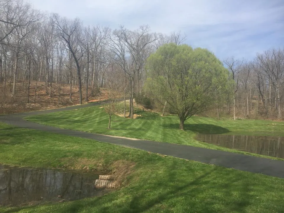 Professional outdoor landscaping experts serving Fair Grove, MO - The Cutting Edge Lawn Service