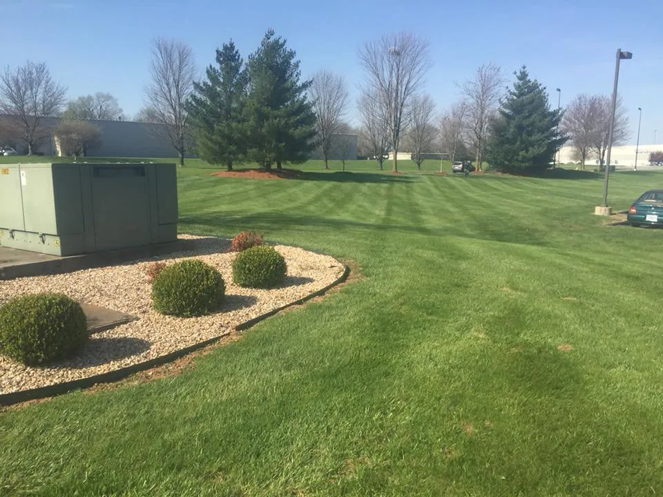 Reliable yard maintenance for outdoor upgrades in Fair Grove, MO by The Cutting Edge Lawn Service