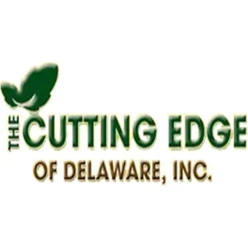 Expert yard cleanup service in Delaware City, DE by The Cutting Edge Of Delaware