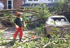 Local yard maintenance in Delaware City, DE by The Cutting Edge Of Delaware