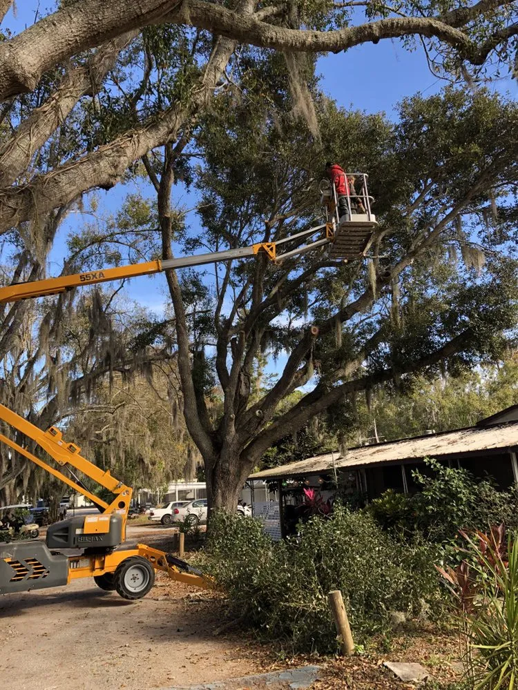 Local landscape installation for year-round maintenance across Sebring, FL - The Cutting Edge
