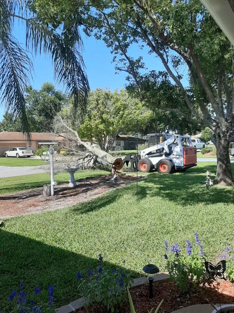 Reliable yard cleanup service for outdoor upgrades in Sebring, FL by The Cutting Edge