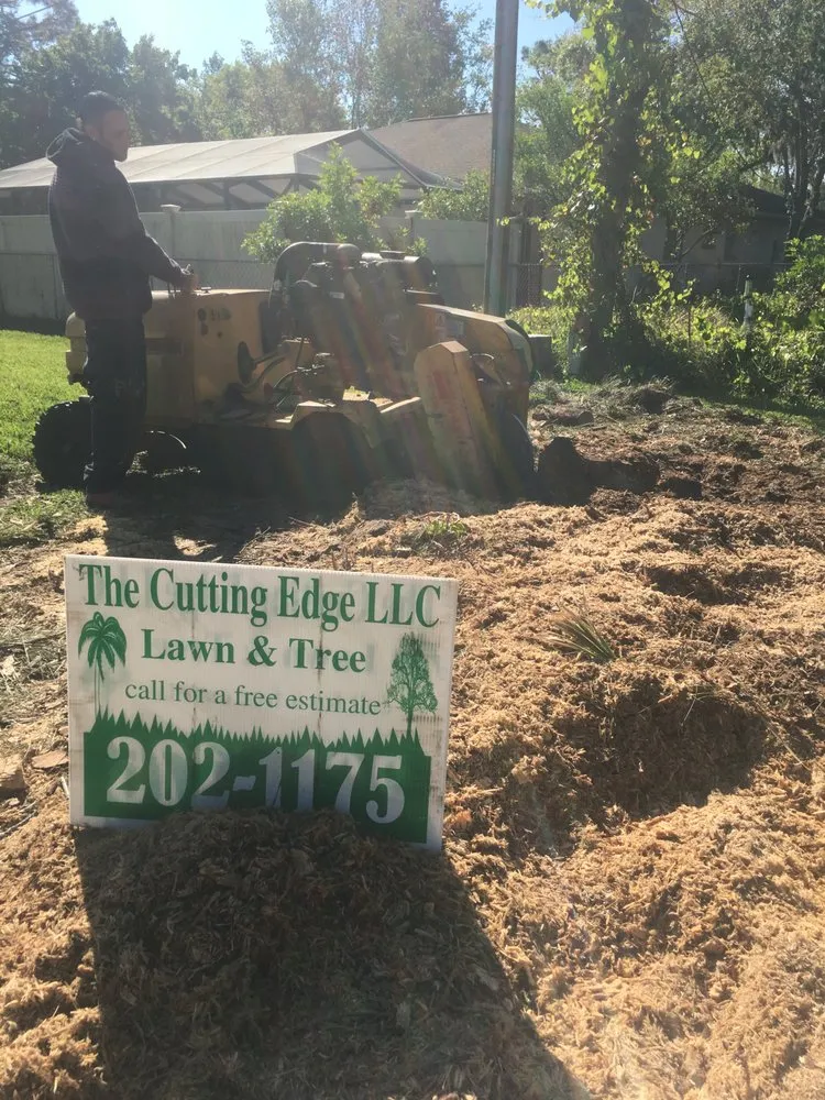Expert residential landscaping in Sebring, FL - The Cutting Edge