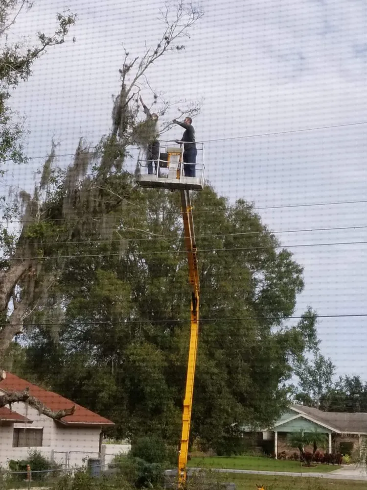 Reliable garden landscaping for residential properties in Sebring, FL by The Cutting Edge