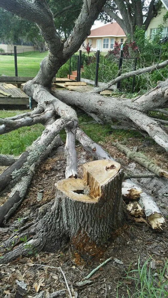 Top-rated landscaping services experts serving Sebring, FL - The Cutting Edge