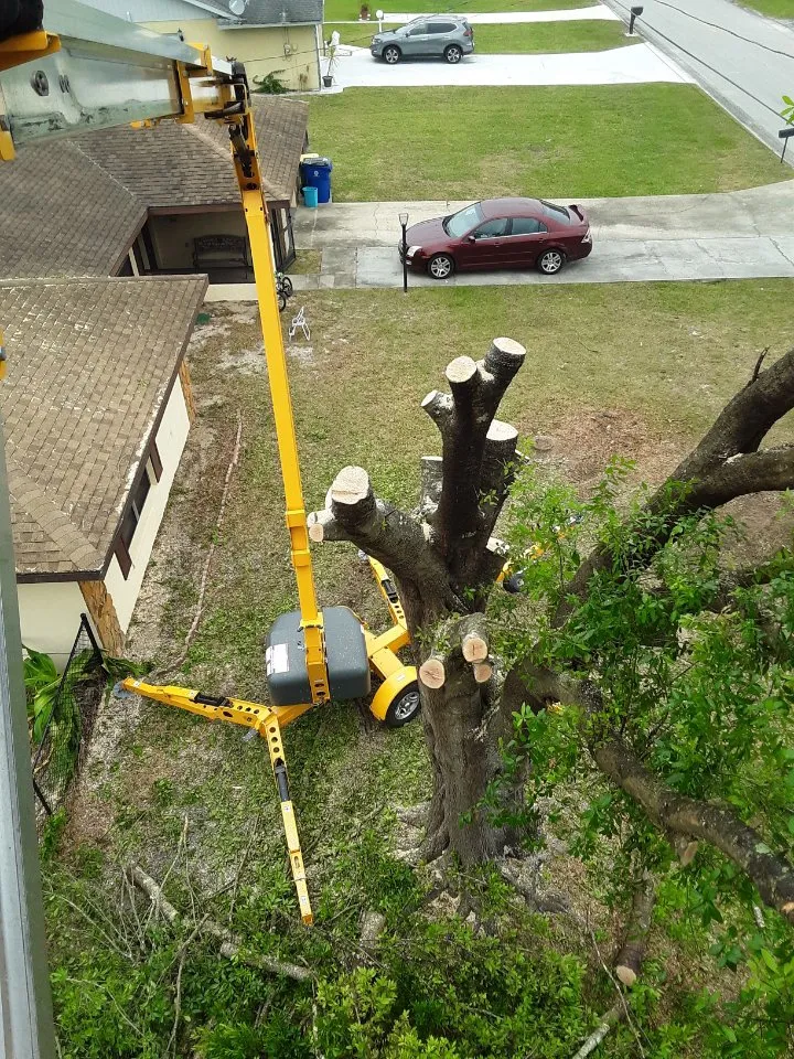 Local garden landscaping in Sebring, FL by The Cutting Edge