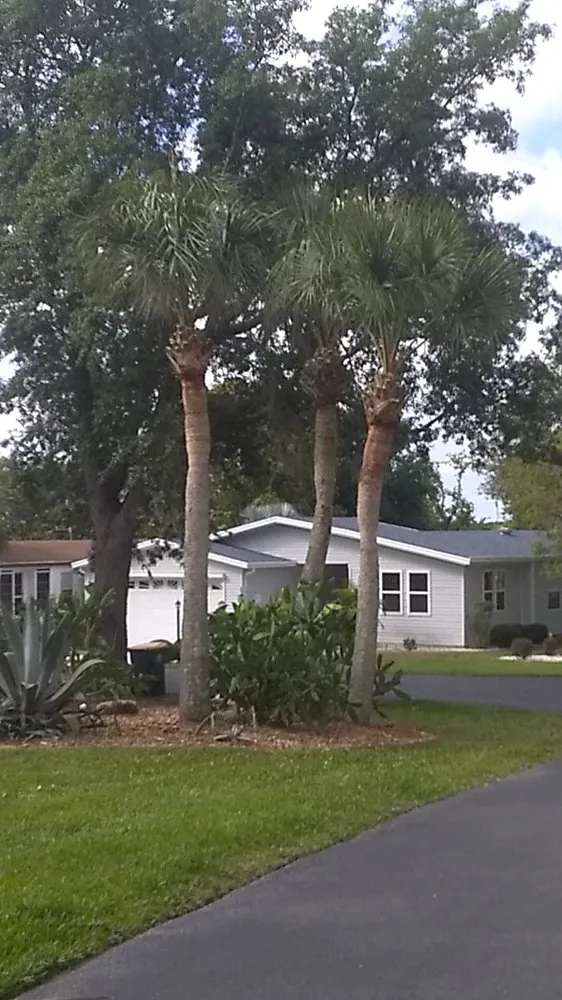 Custom yard maintenance near you across Sebring, FL - The Cutting Edge