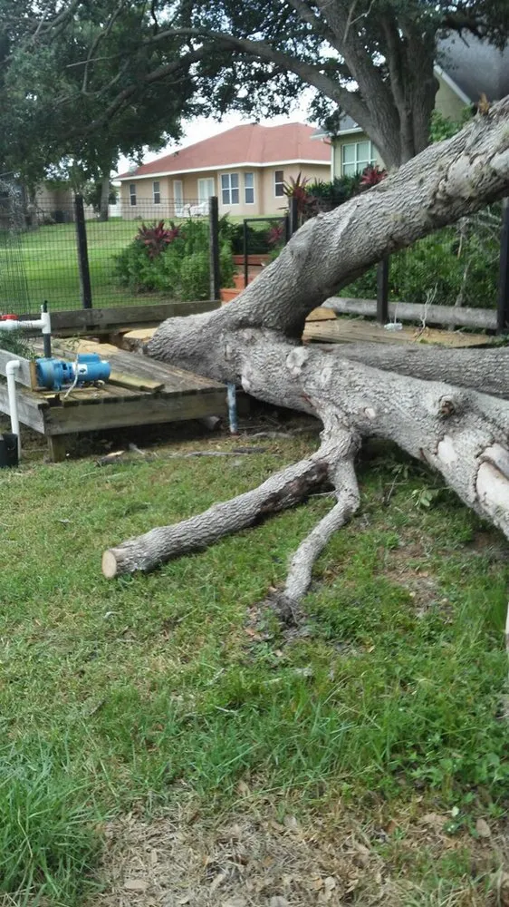 Professional landscape installation with custom design across Sebring, FL - The Cutting Edge