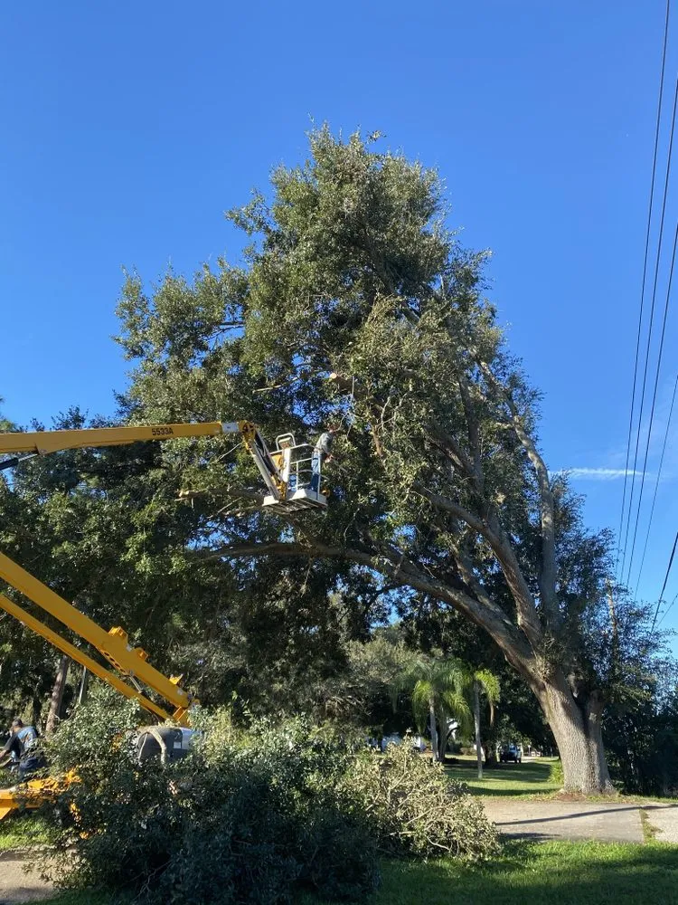 Custom outdoor landscaping in Sebring, FL - The Cutting Edge