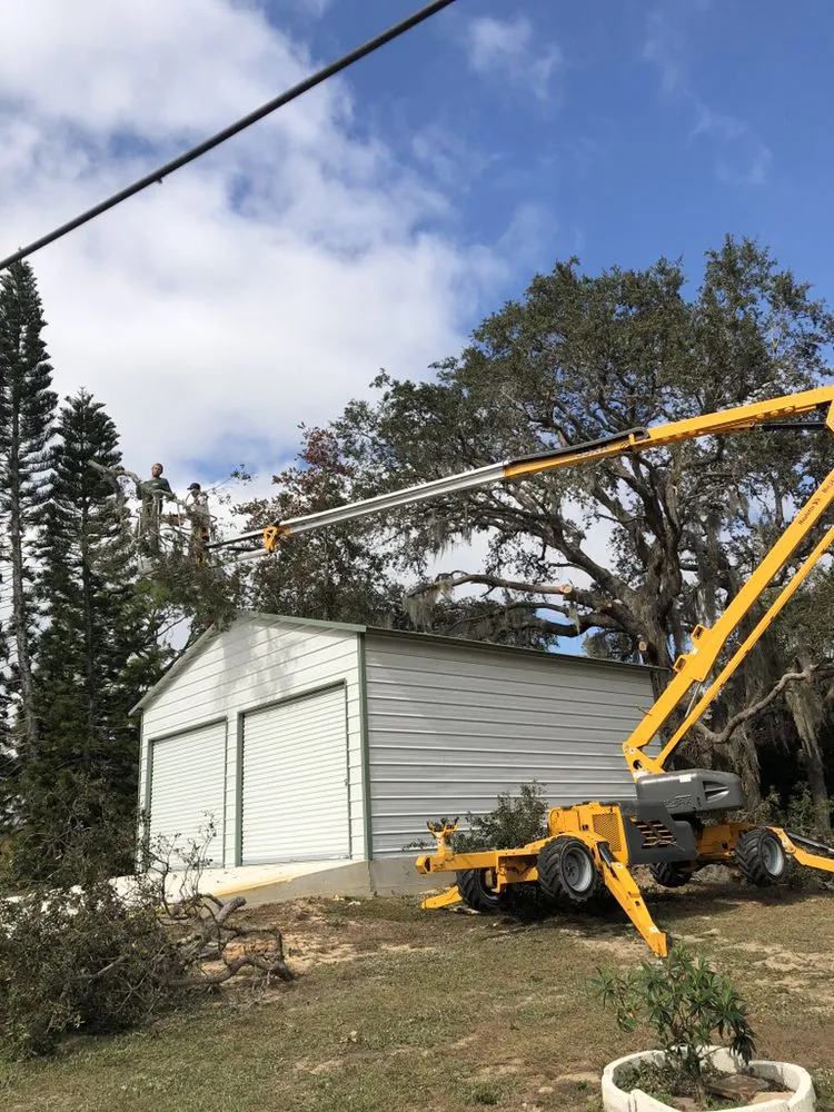 Professional yard cleanup service in Sebring, FL by The Cutting Edge