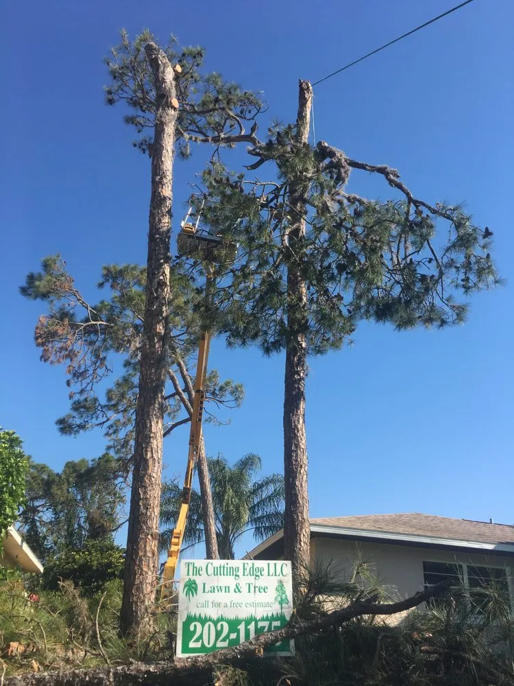 Professional lawn care service in Sebring, FL by The Cutting Edge