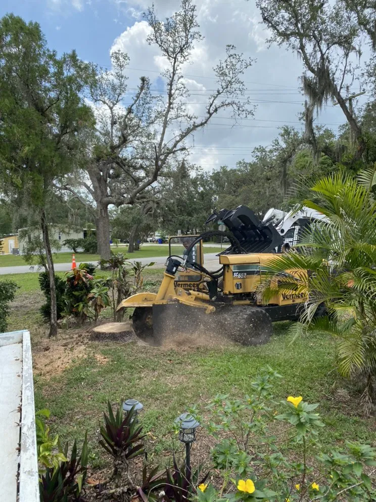 Local landscape installation for homes in Sebring, FL by The Cutting Edge