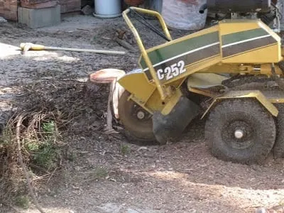 Trusted landscape installation in Tucson, AZ - The Cutting Edge Tree Service & Landscaping