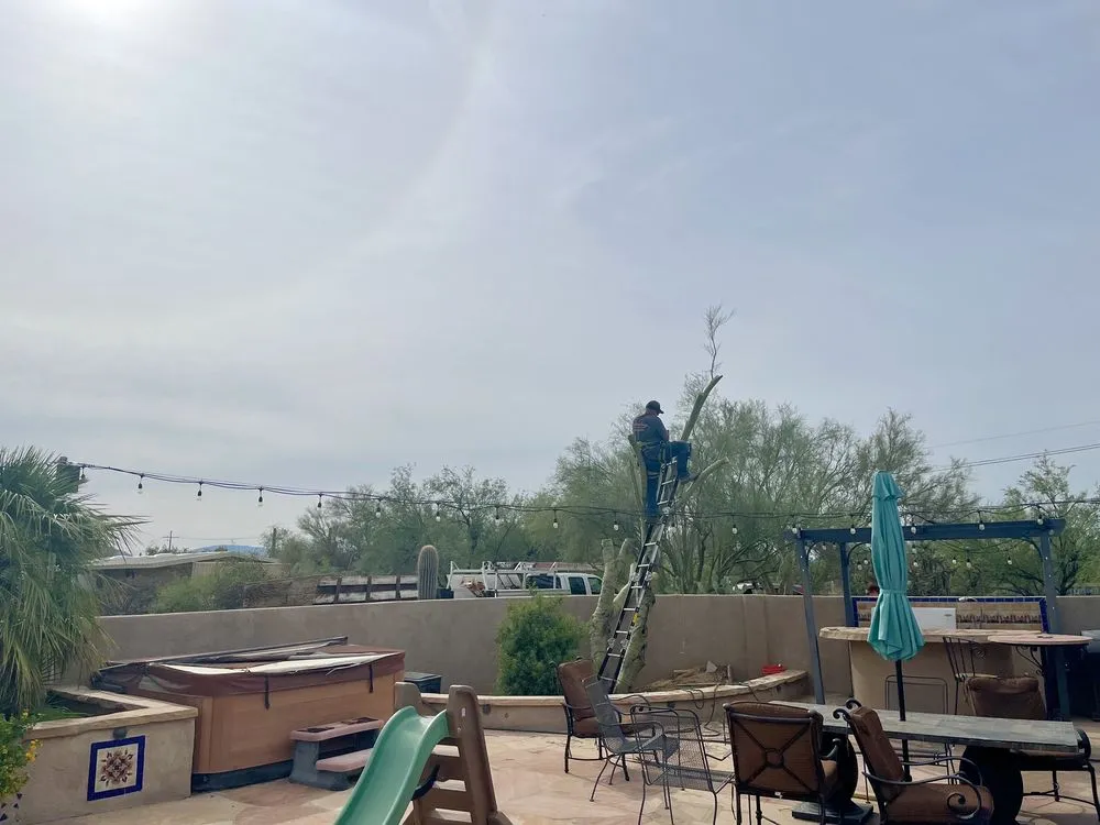 Reliable residential landscaping in Tucson, AZ by The Cutting Edge Tree Service & Landscaping