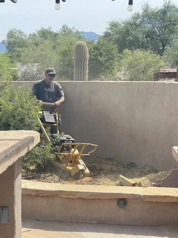 Trusted lawn care service experts serving Tucson, AZ - The Cutting Edge Tree Service & Landscaping