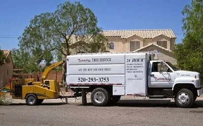 Reliable residential landscaping in Tucson, AZ by The Cutting Edge Tree Service & Landscaping