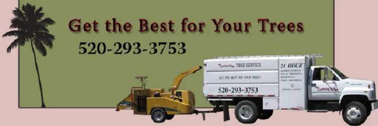 Top-rated landscape design for homes across Tucson, AZ - The Cutting Edge Tree Service & Landscaping