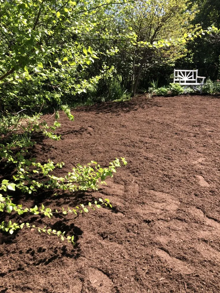 Expert landscape design in Jeffersonville, IN by The Cutting Hedge