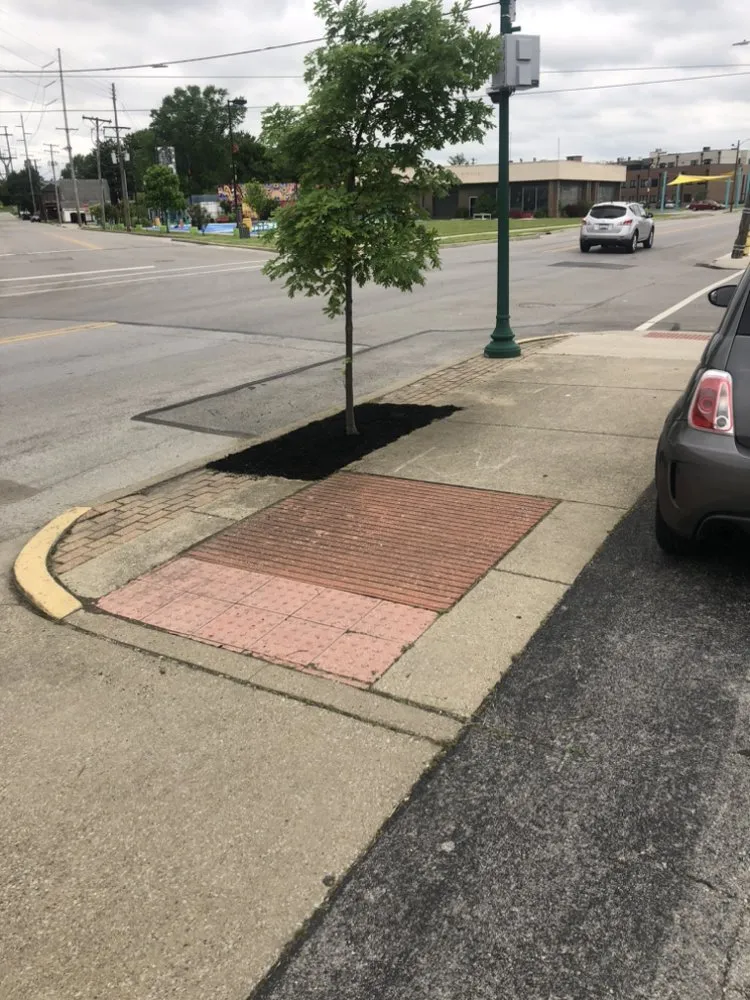 Top-rated landscaping services experts serving Jeffersonville, IN - The Cutting Hedge