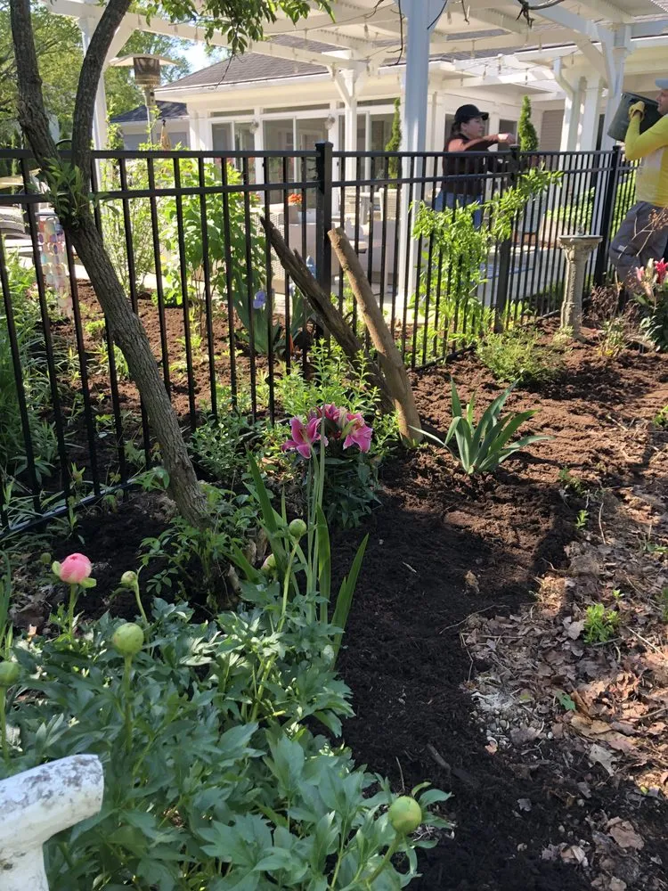 Local lawn mowing service experts serving Jeffersonville, IN - The Cutting Hedge