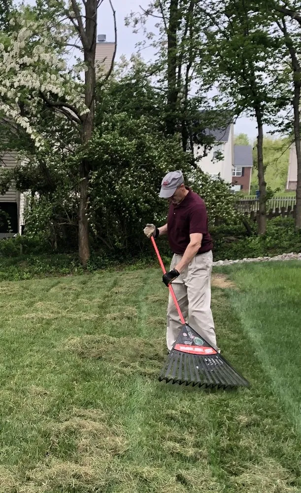 Professional landscape design in Jeffersonville, IN by The Cutting Hedge