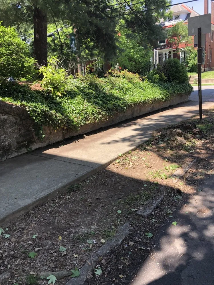 Reliable landscape design experts serving Jeffersonville, IN - The Cutting Hedge