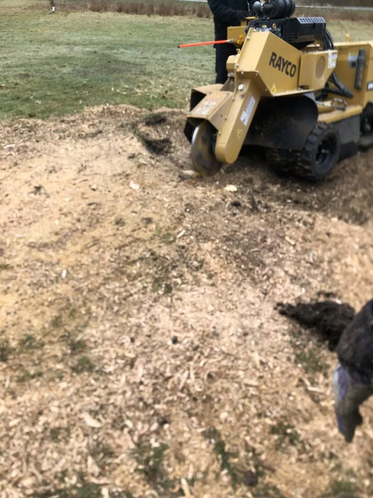 Local yard cleanup service experts serving Stroudsburg, PA - The Daily Grind Property Management