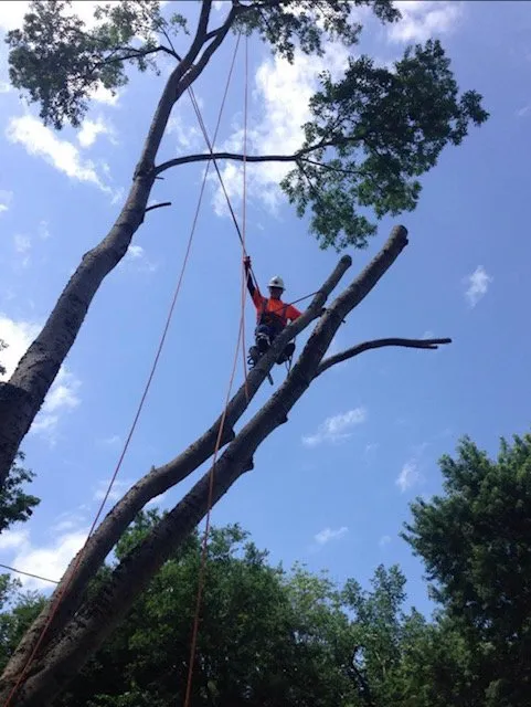 Professional garden landscaping experts serving Stroudsburg, PA - The Daily Grind Property Management